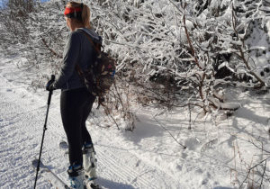 Skitury Krynica - zdj02